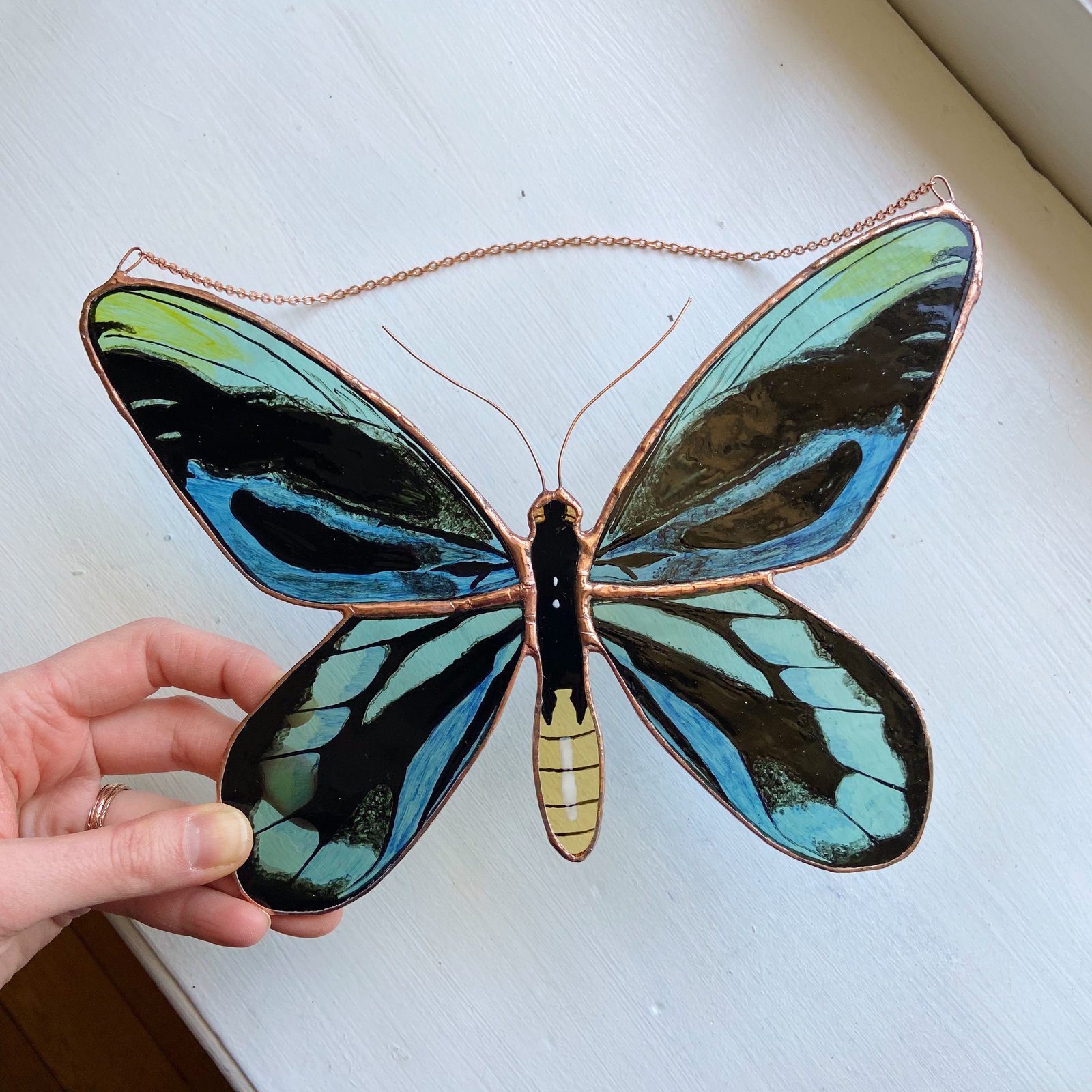 Queen Alexandra's Birdwing Butterfly / ABJ glassworks